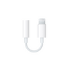 Lightning 3.5mm Jack Converter